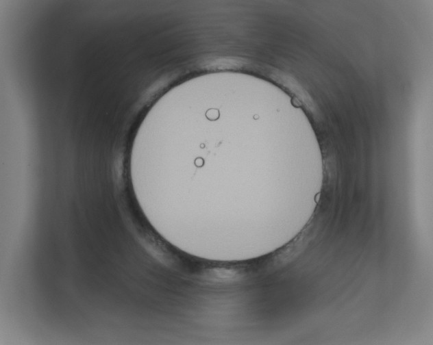 X0000111160159200908111201
