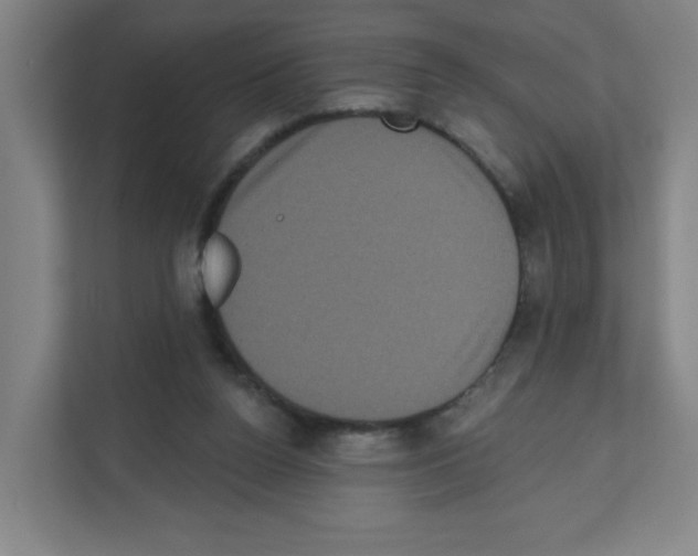 X0000111160160200908111201