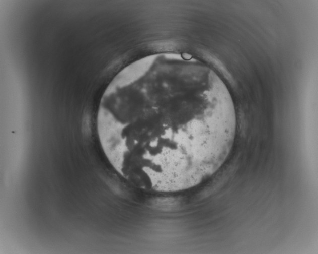 X0000111160161200908111201