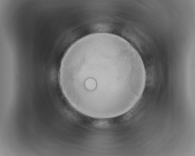 X0000111160162200908111201