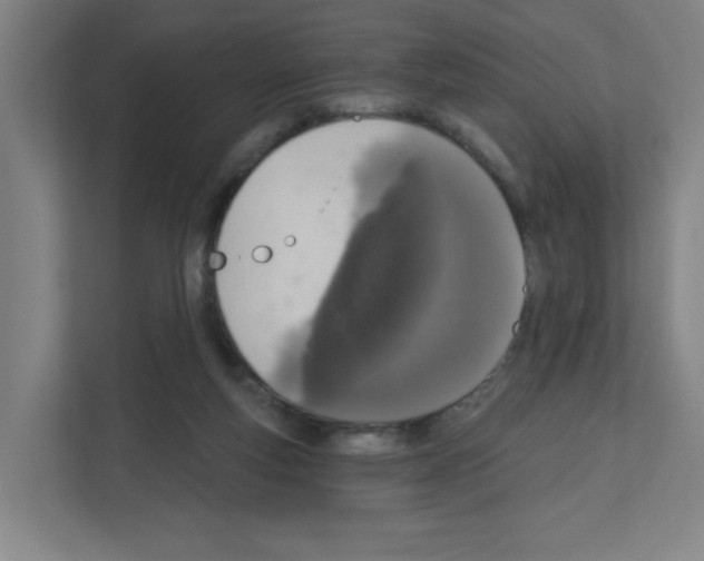 X0000111160163200908111201