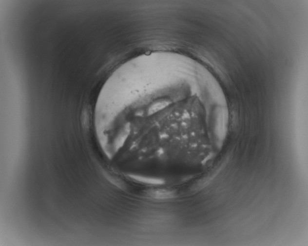 X0000111160165200908111201