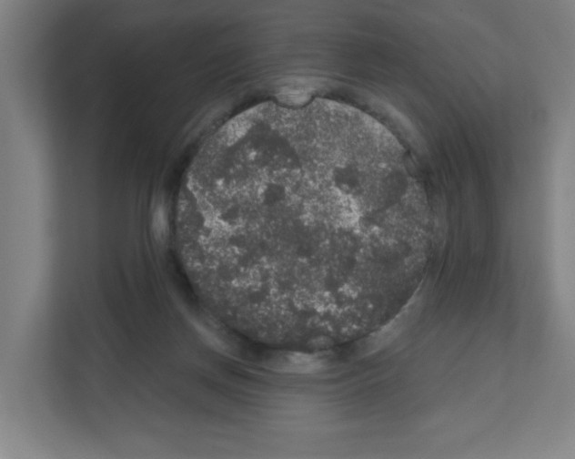 X0000111160166200908111201