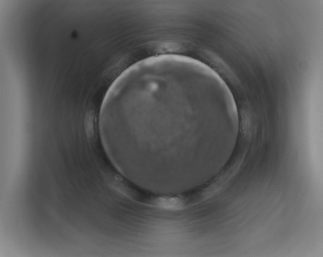 X0000111160169200908111201