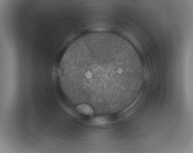 X0000111160171200908111201