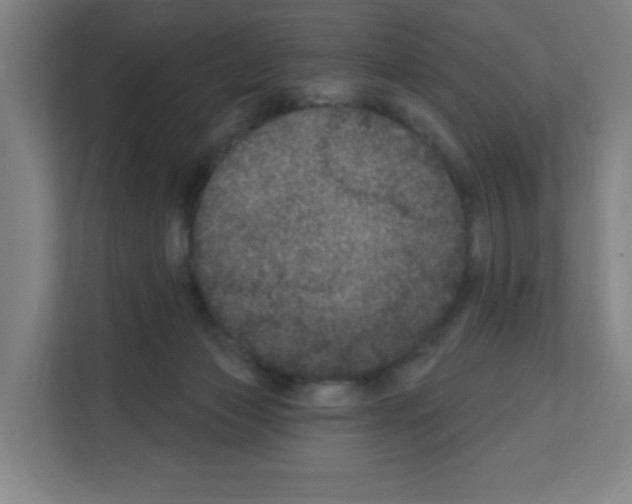 X0000111160173200908111201