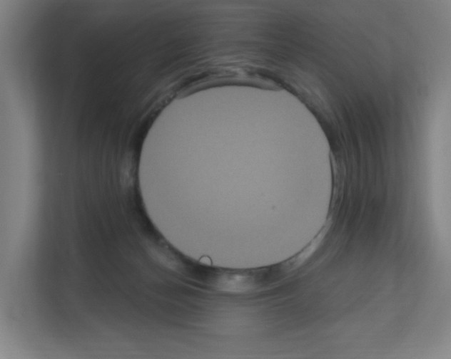 X0000111160174200908111201