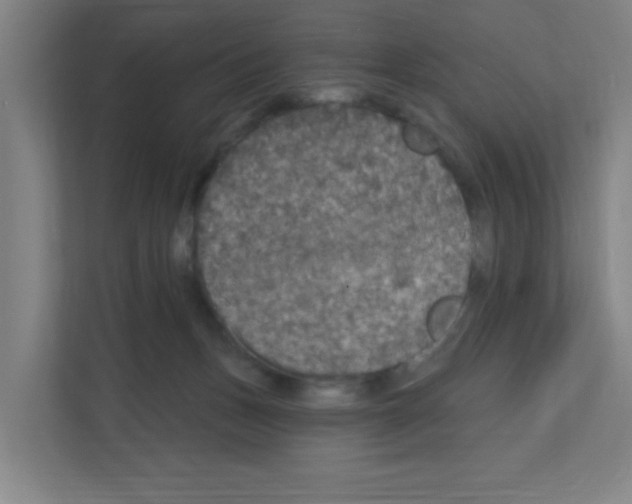 X0000111160175200908111201