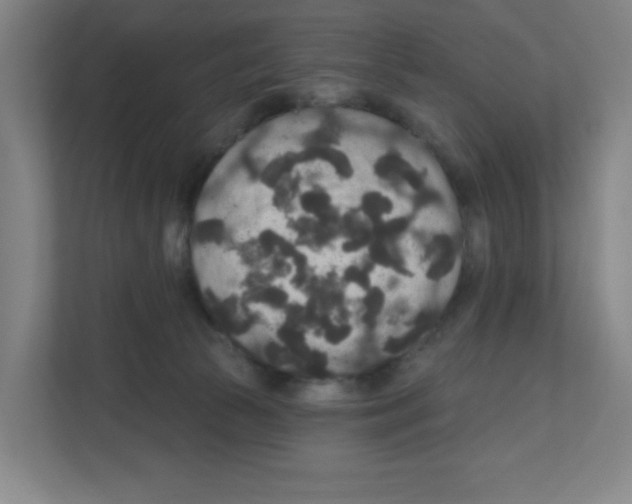 X0000111160177200908111201