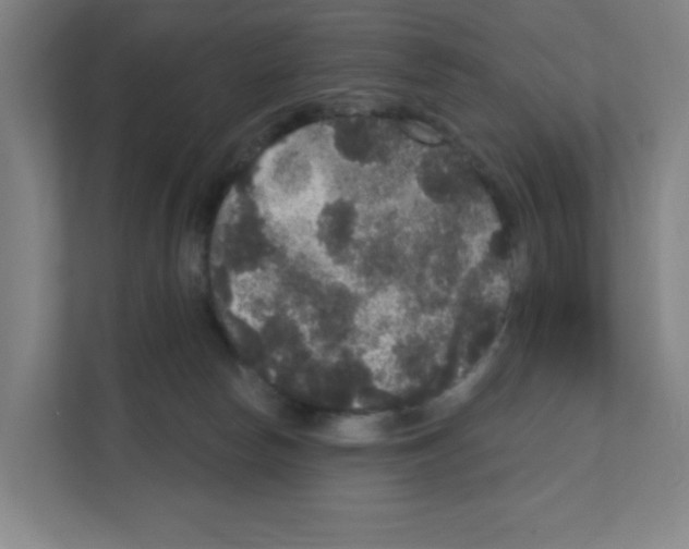 X0000111160178200908111201