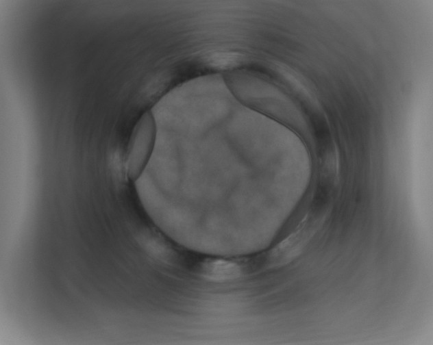 X0000111160180200908111201