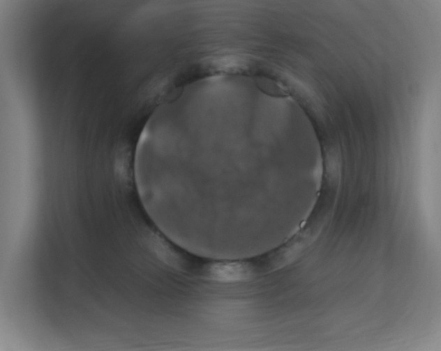 X0000111160181200908111201