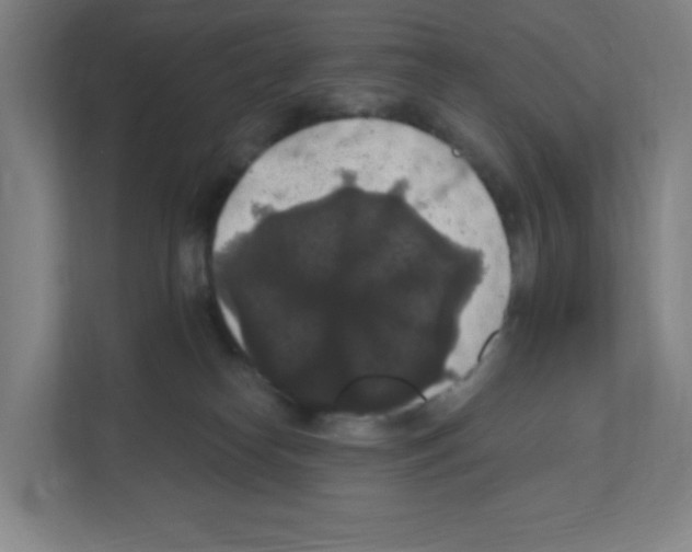 X0000111160182200908111201