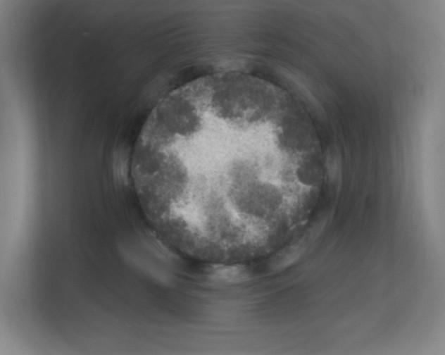 X0000111160185200908111201