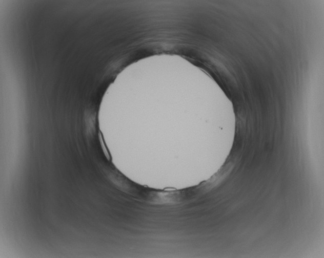X0000111160188200908111201