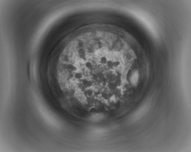 X0000111160189200908111201