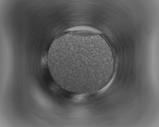 X0000111160190200908111201