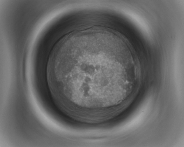 X0000111160191200908111201