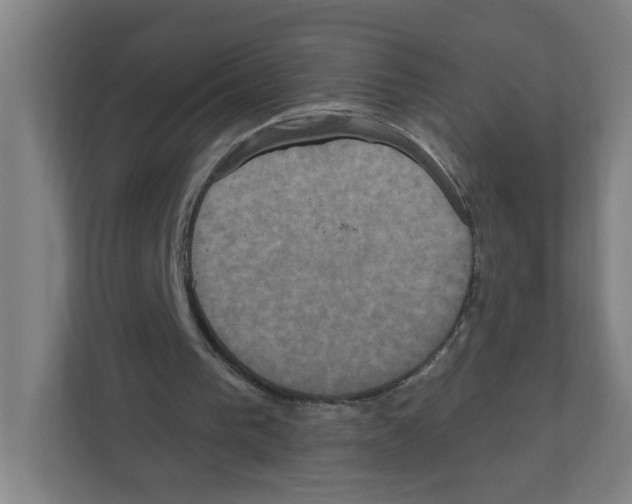 X0000111160193200908111201
