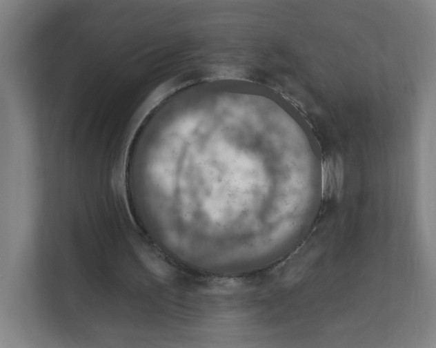 X0000111160195200908111201