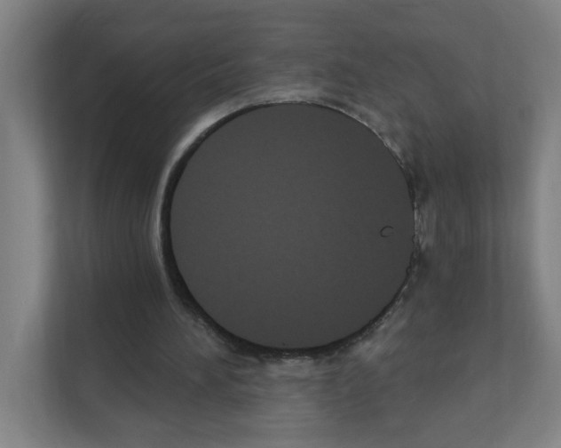 X0000111160196200908111201