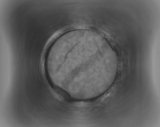 X0000111160197200908111201