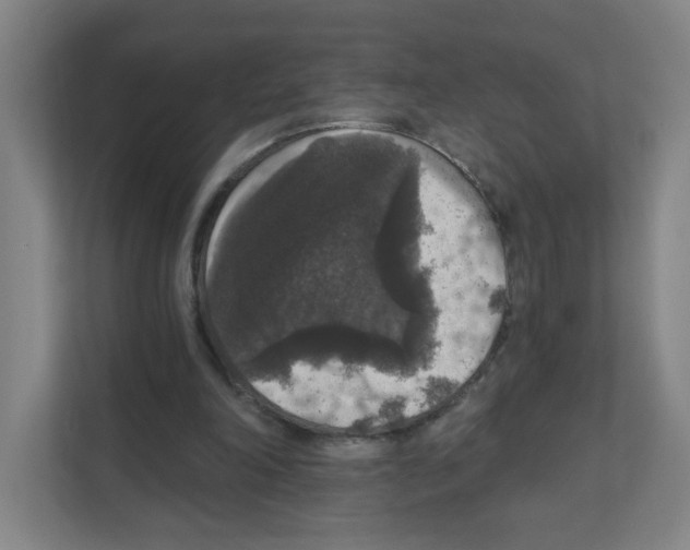 X0000111160198200908111201