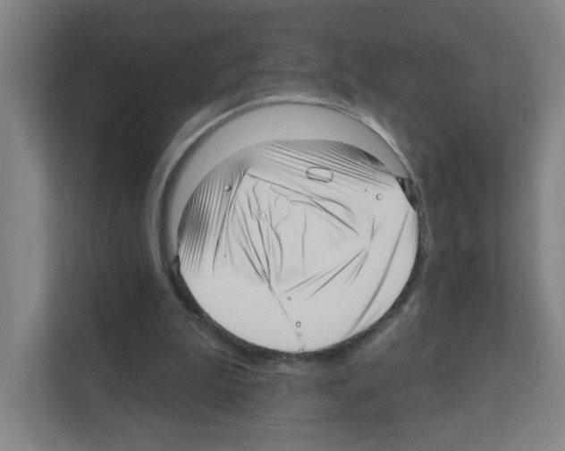 X0000111160199200908111201