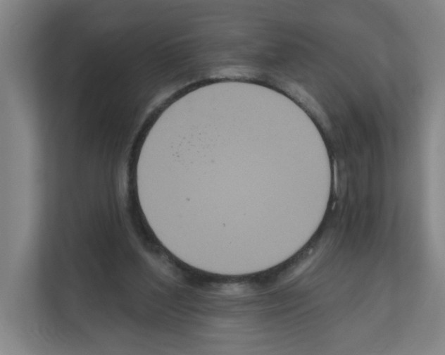 X0000111160204200908111200