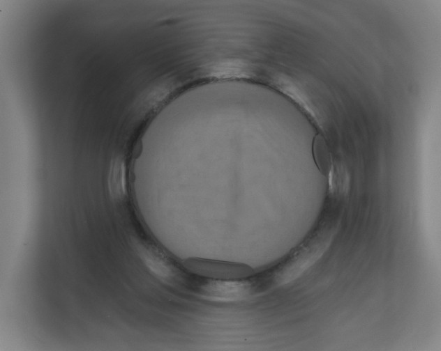 X0000111160205200908111200