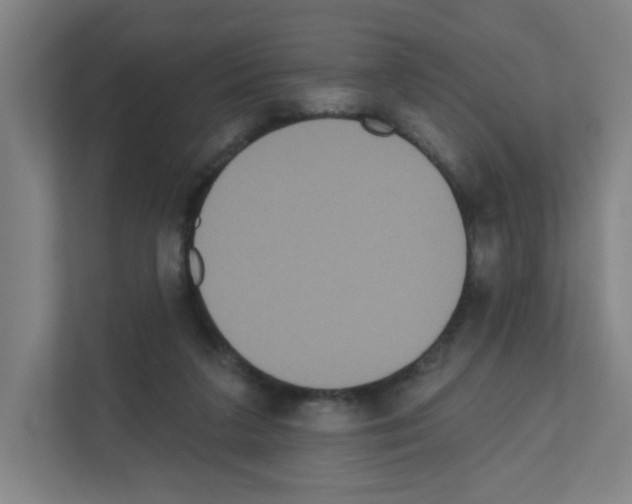 X0000111160211200908111200