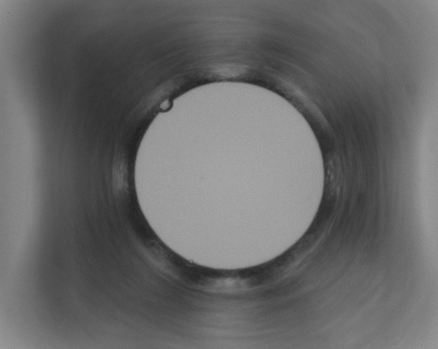 X0000111160212200908111200