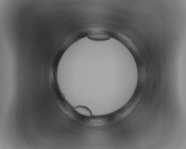 X0000111160213200908111200
