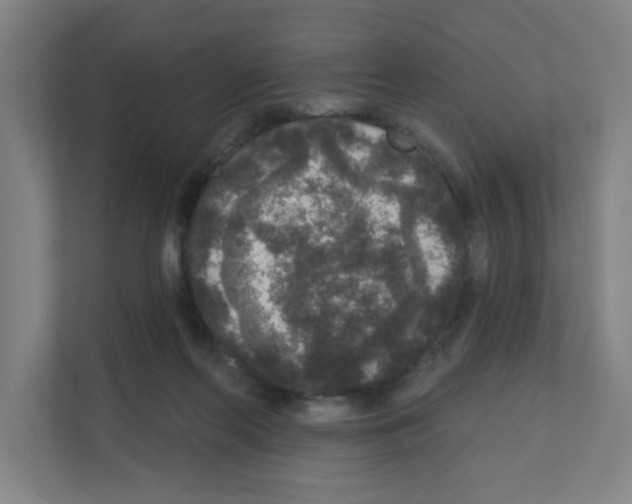 X0000111160214200908111200