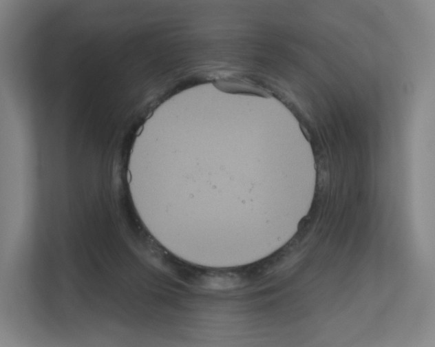 X0000111160215200908111200