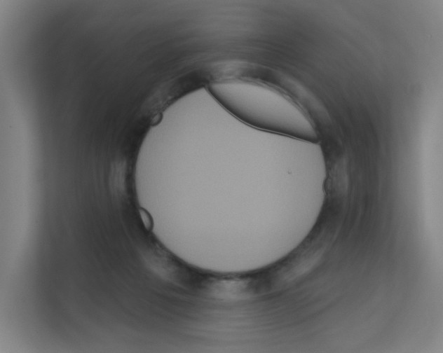 X0000111160217200908111200