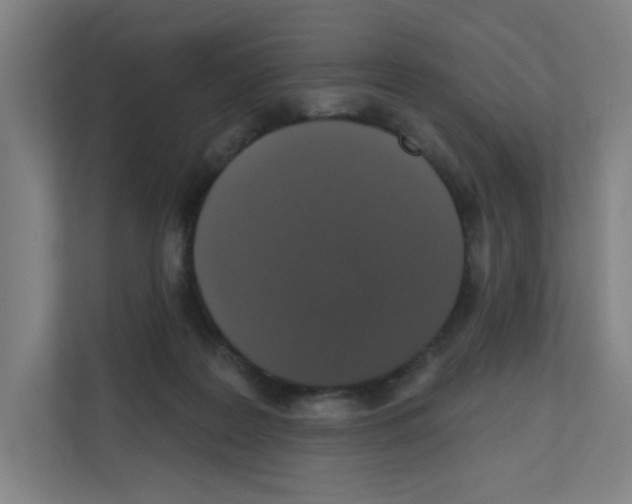 X0000111160219200908111200