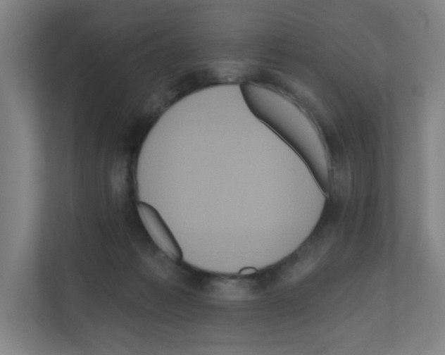 X0000111160221200908111200