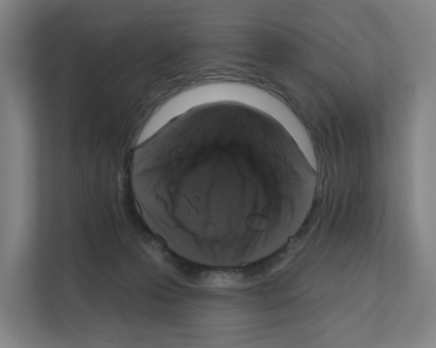 X0000111160223200908111200