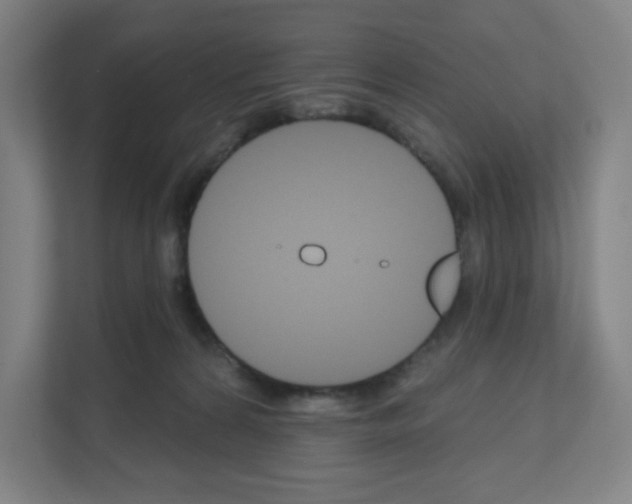 X0000111160224200908111200