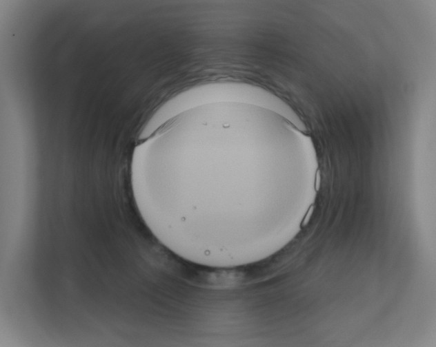 X0000111160225200908111200