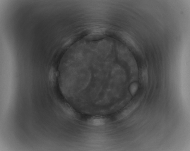 X0000111160228200908111200
