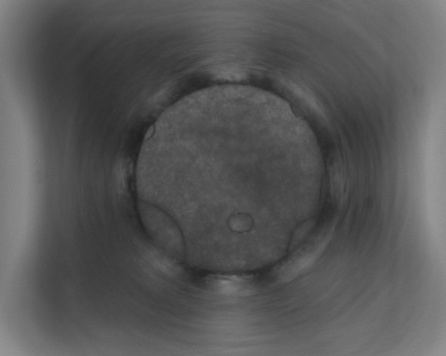 X0000111160229200908111200