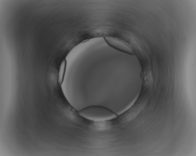 X0000111160231200908111200