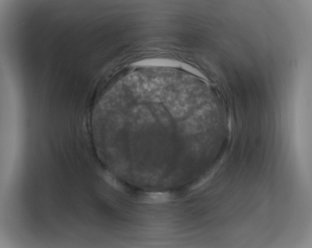 X0000111160233200908111200