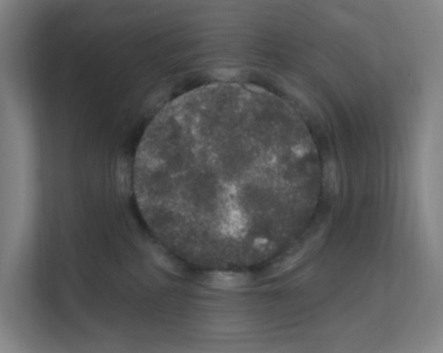 X0000111160234200908111200