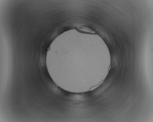 X0000111160236200908111200