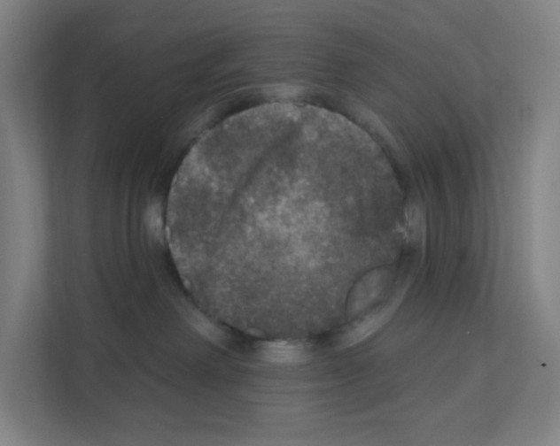 X0000111160238200908111200