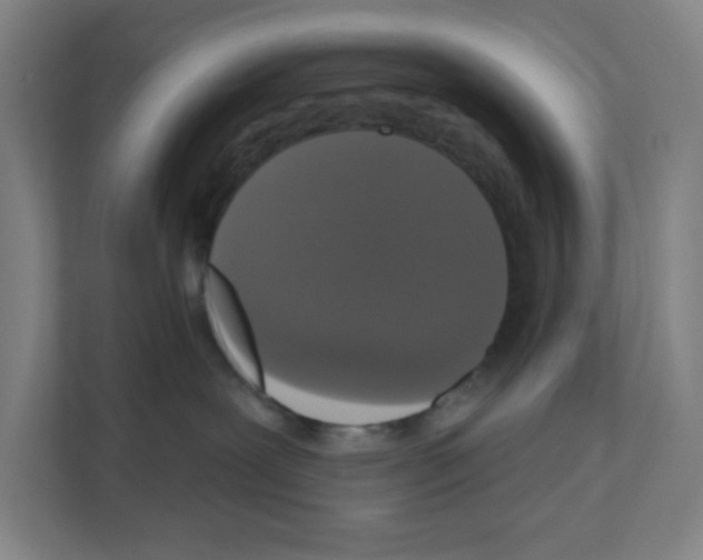 X0000111160239200908111200