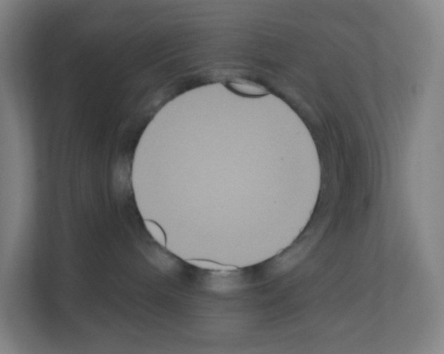 X0000111160240200908111200